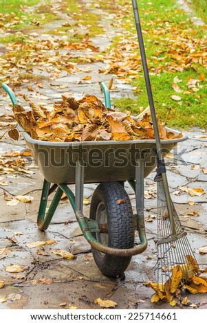 Cleaning the fallen leaves in the garden in autumn day