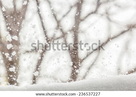 View from the window on the snow-covered garden and a snowstorm in a gloomy winter day