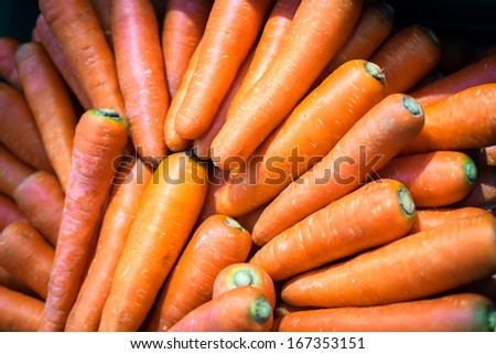 Close-up of fresh nutritive carrots, source of vitamin A and beta carotene