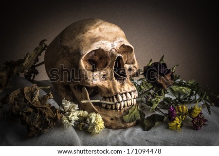 Still life with skull and rose in mouth