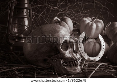 Still life with skull, horseshoe and pumpkins in barn