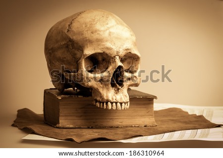 still life with human skull on leather and finance report