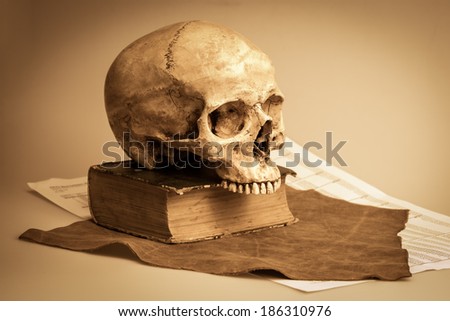 still life with human skull on leather and finance report
