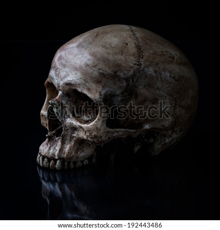 Sideview of human skull open mouth on isolated black background