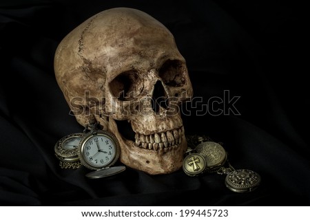 Still life, human skull with antique pocket watches