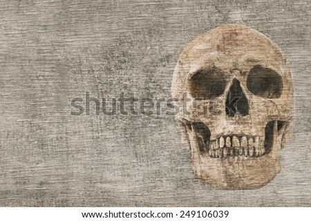 Human skull on crack wood surface background
