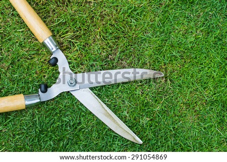gardening scissors on green grass