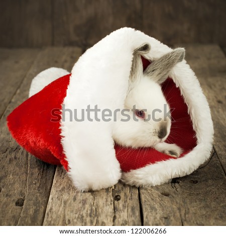 stock-photo-christmas-card-with-white-rabbit-in-the-cap-of-santa-claus-on-wooden-background-122006266.jpg