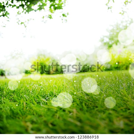 Background with Green Summer Landscape