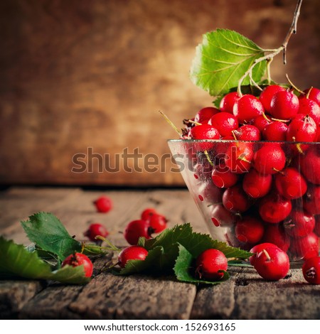 Summer Red Berries Hawthorn, vintage decoration food in the interior
