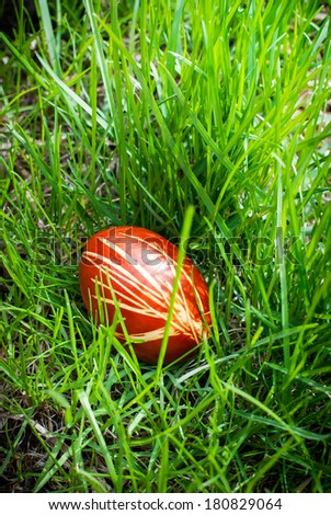 Easter Eggs Decorated with Leaves using Peels of Onions hidden in Grass