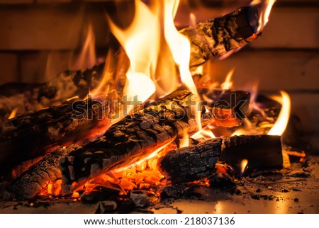 Flame of Fire from Firewood in Fireplace, on a brickwall background