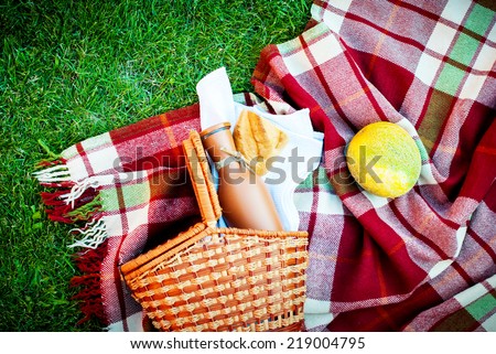 Wattled Basket, Bread, Water melon and Bottle on a Picnic Plaid in Summer Green Grass, selective focus