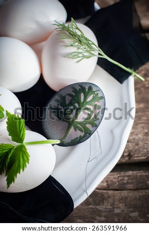 Eggs in Stage of Preparation Decor wormwood for Happy Easter. Bio and Natural way of painted  with Fresh Leaves and Boiled in Onions Peels