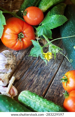 Harvest of Fresh Vegetables on a Wooden Background. Tomato, Cucumber, Vegetable Marrow, Garlic, Paprika, in a Basket. Nature Bio Style
