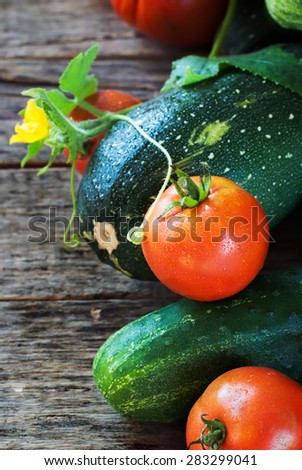 Tomato, Vegetable Marrow, Cucumber. Fresh Vegetable on a Wooden Background. Nature Bio Style