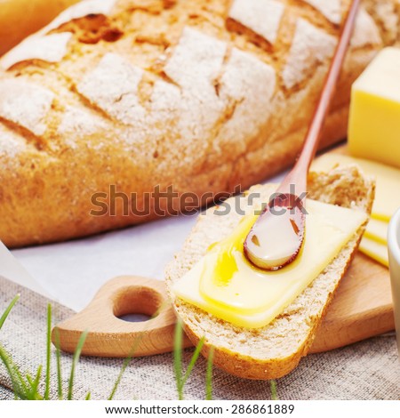 Piece of Bread with Cheese and Honey. Picnic Fresh Food in Summer day. Square image