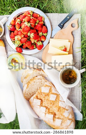 Picnic Tablecloth on Grass with Summer Food, Fresh Bread, Cheese, Honey, Strawberry,Tea. Sun effect