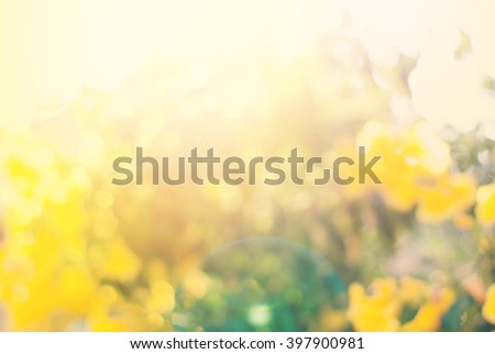 Light Summer Blossoming Natural Bush Flower Bokeh Background Yellow Color