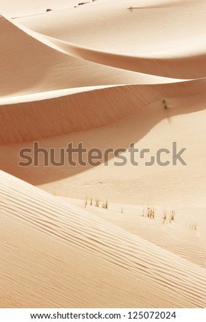 A view of the rolling sand dunes of the Arabian desert