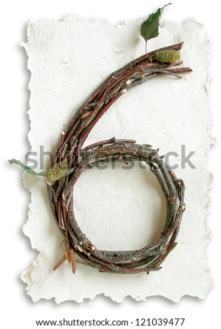 Photograph of Natural Twig and Stick Number 6