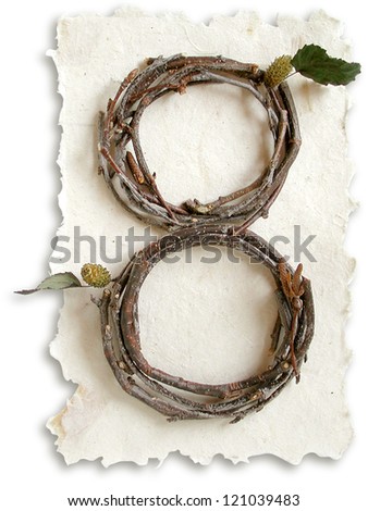 Photograph of Natural Twig and Stick Number 8