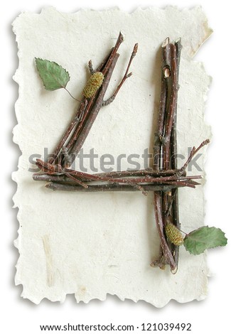 Photograph of Natural Twig and Stick Number 4