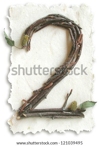 Photograph of Natural Twig and Stick Number 2