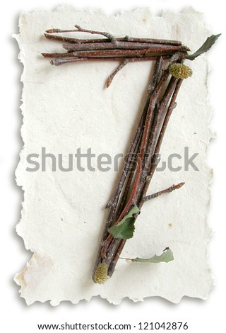 Photograph of Natural Twig and Stick Number 7
