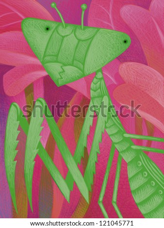 illustration of Praying Mantis