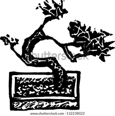 Black And White Vector Illustration Of A Bonsai Tree - 132238022
