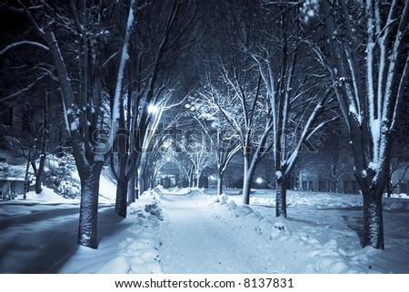 Snow covered path lit by street lights