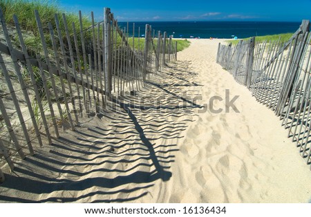 Path in the sand heading to the beach