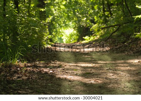 Enlightening, path through a deep forest with a distant sunny patch of light, focus on the foreground