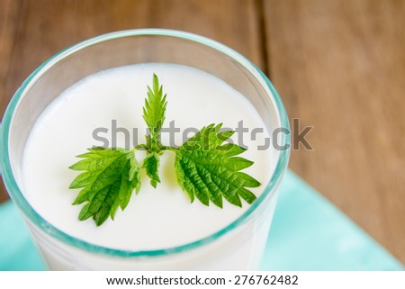 Fresh plain homemade yougurt (yogurt, youghurt, kefir, ayran) in glass with mint over rustic wooden table