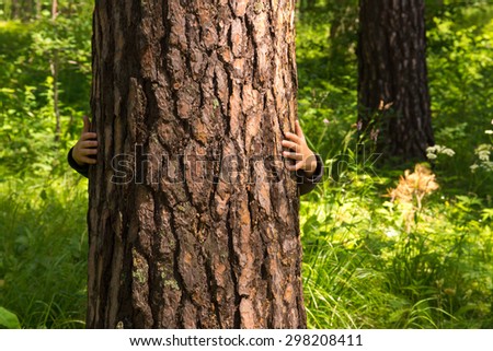 Child (boy, hands) hugging pine, hiding, playing and having fun outdoor in summer forest (park). Environmental protection concept.