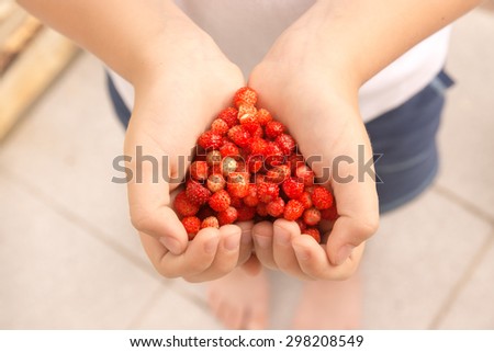 wild organic tasty strawberries in hands in shape of heart