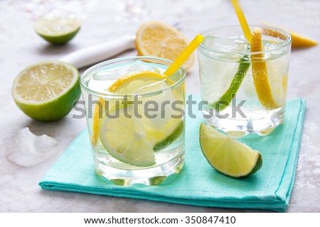 alcoholic drink (gin and tonic) with lemon, lime and ice