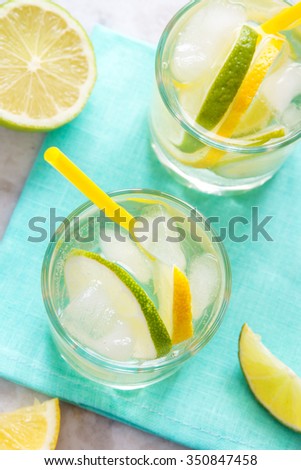 alcoholic drink (gin and tonic) with lemon, lime and ice