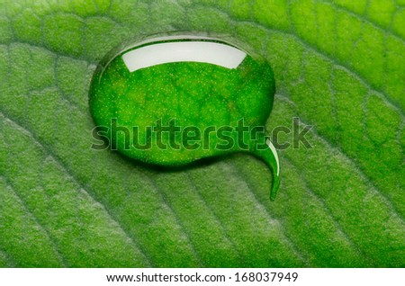 Water bubble talk on green leaf background