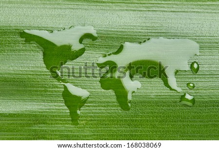 World map made out of water on a leaf