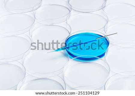 Scientific research. Blue cultures in petri dish among empty dishes in lab