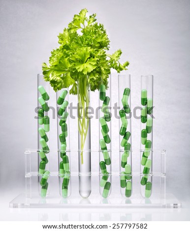 Pharmaceutical research. Herbal pills and medical plants in test tubes