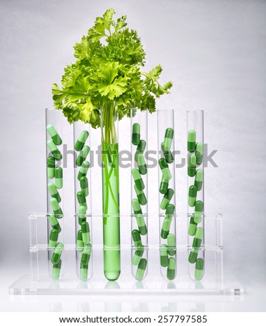 Pharmaceutical research. Herbal pills and medical plants in test tubes