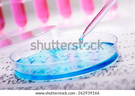 DNA sample being pipetted into petri dish with DNA gel in background
