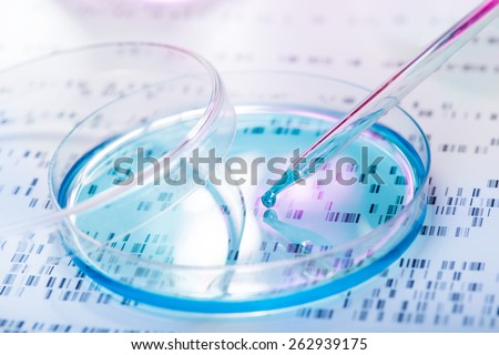 DNA sample being pipetted into petri dish with DNA gel in background