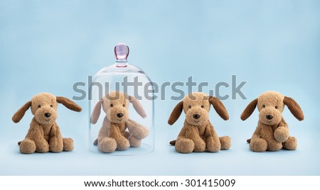 Puppy toy protected under a glass dome on blue background