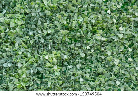 Fake of ground cover background