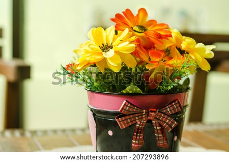 beautiful flower in pot decoration on table at coffee shop