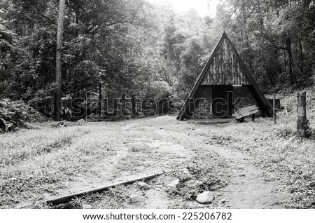 black and white image of old hut in forest